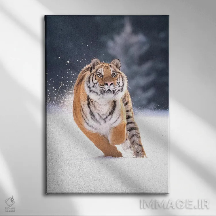تابلو دکوراتیو ببر سیبری در حال دویدن در برف IV اثر دیک ون دوین - نمای روبهرو روی دیوار