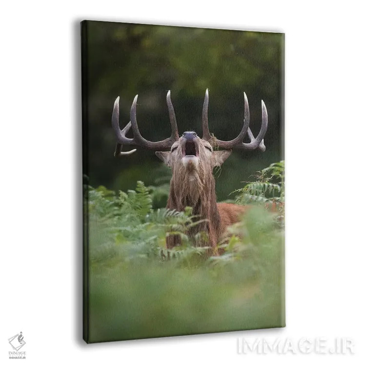 تابلو دکوراتیو گوزن قرمز نعره زن در سرخس ها اثر دیک ون دوین - نمای پرسپکتیو محصول