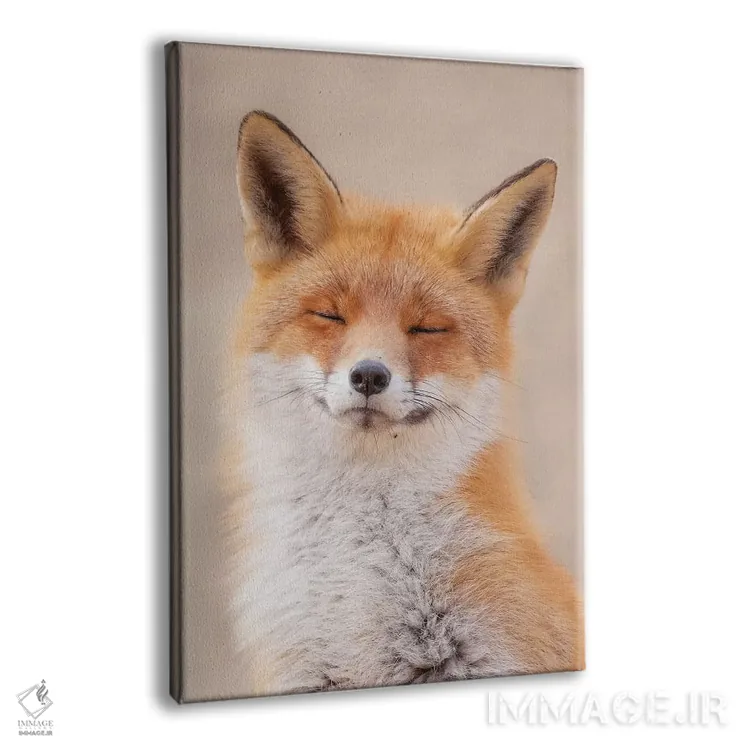 تابلو دکوراتیو روباه ذن اثر دیک ون دوین - نمای پرسپکتیو محصول