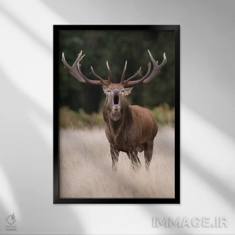 تابلو دکوراتیو یک گوزن قرمز غرش کننده اثر دیک ون دوین - نمای قابدار مشکی