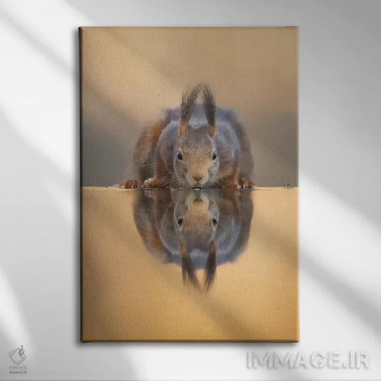 تابلو دکوراتیو سنجاب قرمز تشنه اثر دیک ون دوین - نمای روبهرو روی دیوار