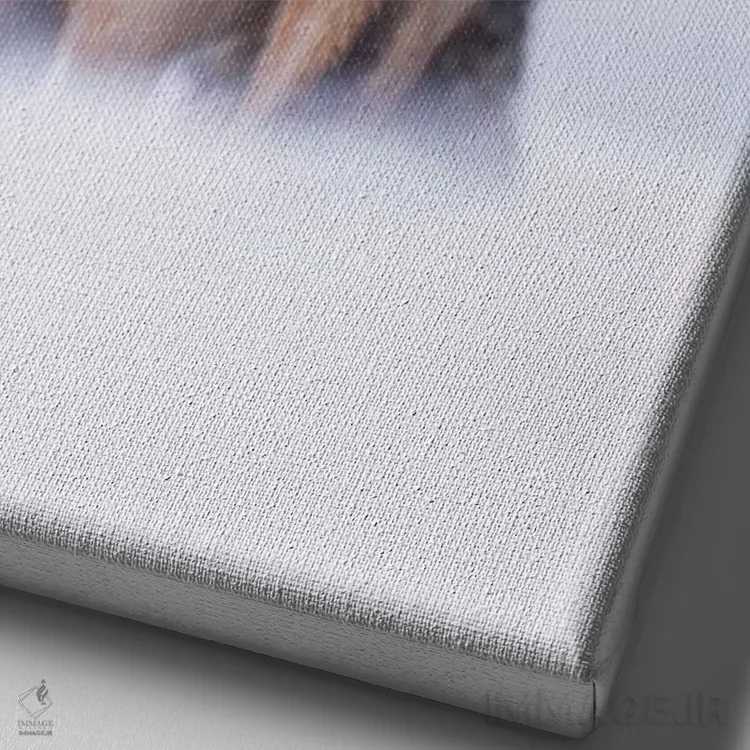 تابلو دکوراتیو بگو پنیر! اثر دیک ون دوین - نمای نزدیک بافت بوم