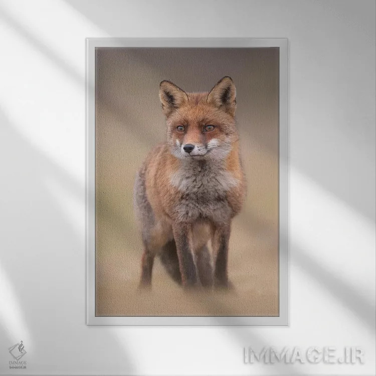 تابلو دکوراتیو روباه قرمز در مزرعه I اثر دیک ون دوین - نمای قابدار سفید
