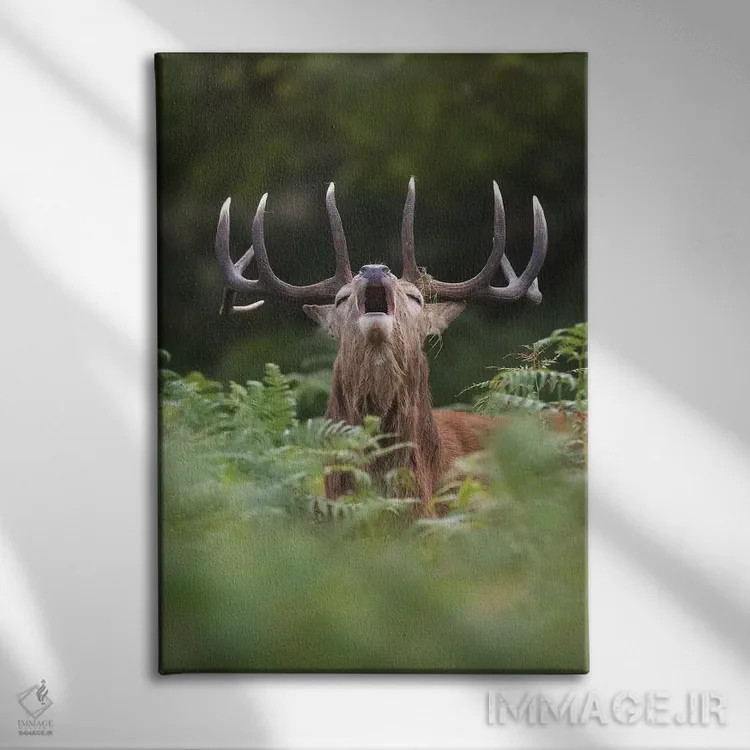 تابلو دکوراتیو گوزن قرمز نعره زن در سرخس ها اثر دیک ون دوین - نمای روبهرو روی دیوار