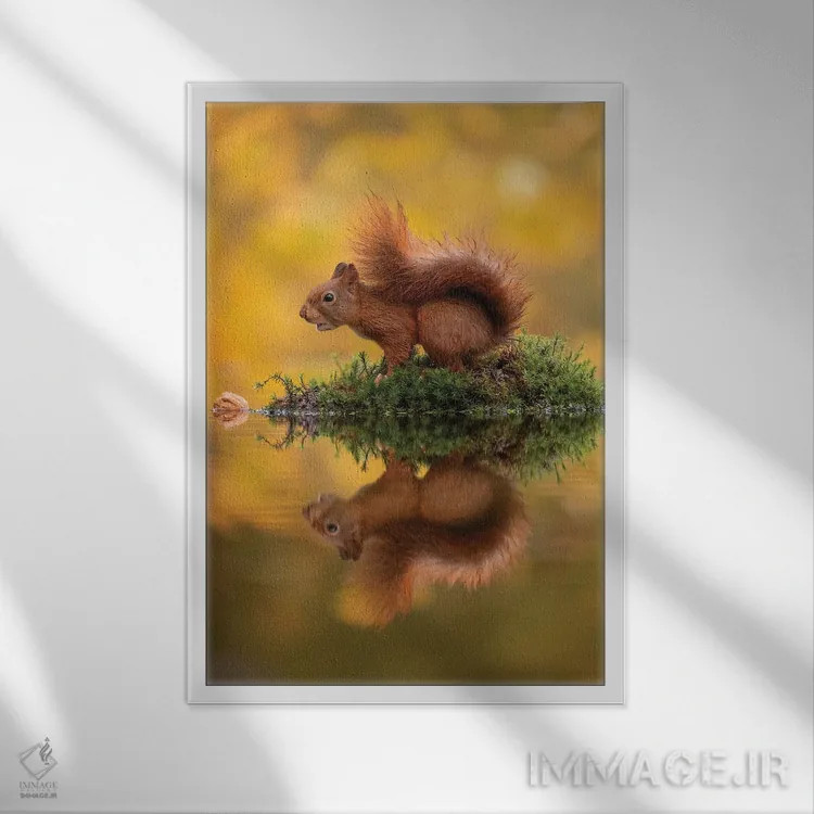 تابلو دکوراتیو سنجاب قرمز بر جزیره اثر دیک ون دوین - نمای قابدار سفید