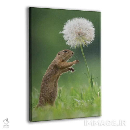 تابلو دکوراتیو زیسل با یک قاصدک بسیار بزرگ III اثر دیک ون دوین - نمای پرسپکتیو محصول