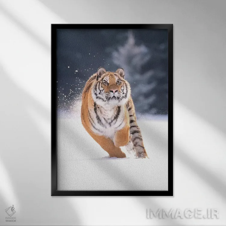 تابلو دکوراتیو ببر سیبری در حال دویدن در برف IV اثر دیک ون دوین - نمای قابدار مشکی