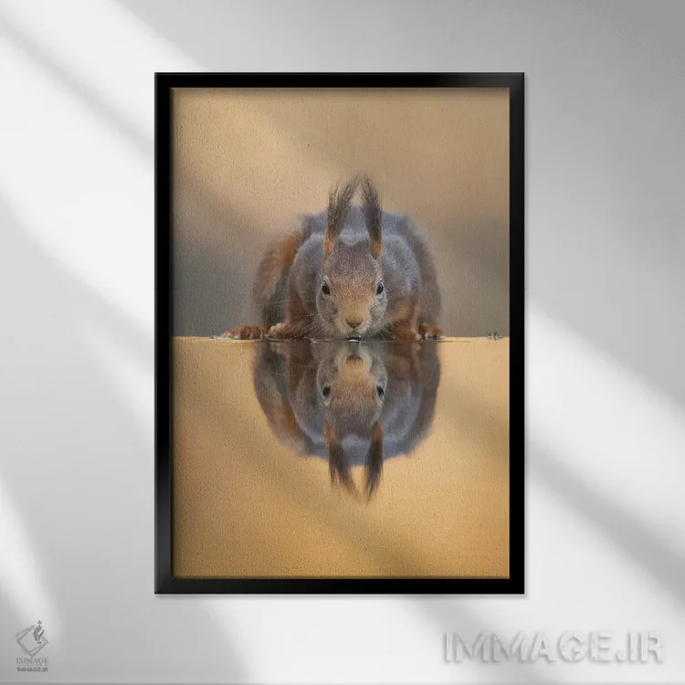 تابلو دکوراتیو سنجاب قرمز تشنه اثر دیک ون دوین - نمای قابدار مشکی