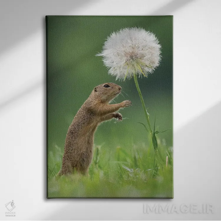 تابلو دکوراتیو زیسل با یک قاصدک بسیار بزرگ III اثر دیک ون دوین - نمای روبهرو روی دیوار