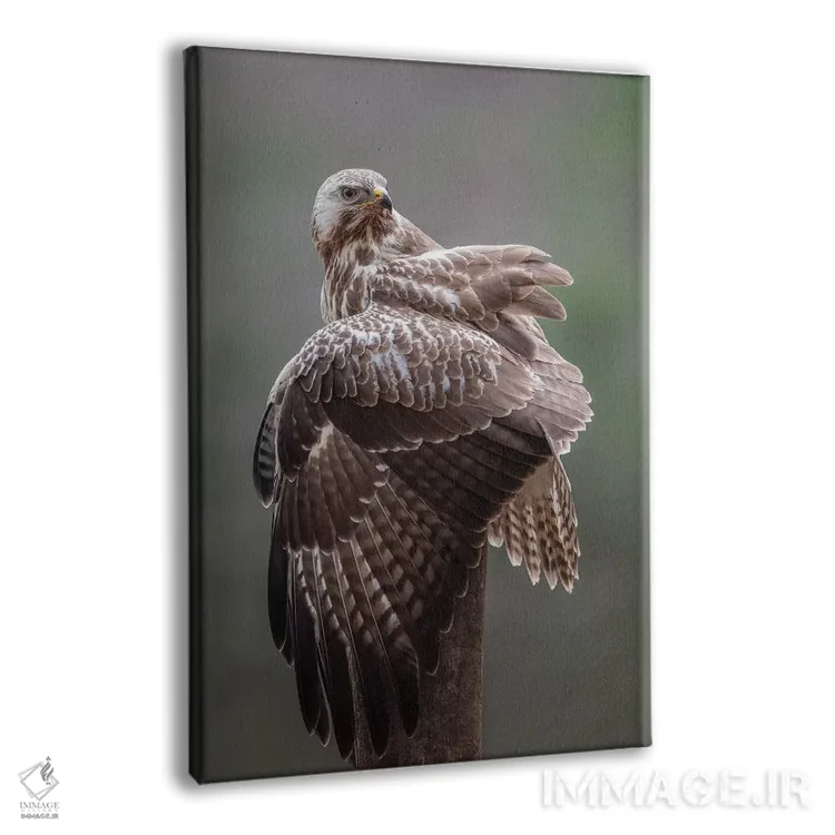 تابلو دکوراتیو کرکس اثر دیک ون دوین - نمای پرسپکتیو محصول