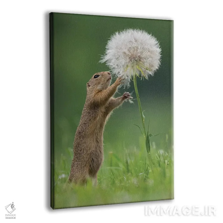 تابلو دکوراتیو زیسل با یک قاصدک بسیار بزرگ IV اثر دیک ون دوین - نمای پرسپکتیو محصول