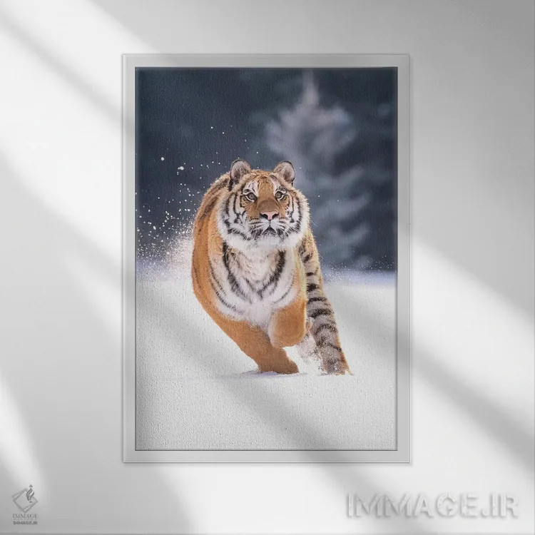 تابلو دکوراتیو ببر سیبری در حال دویدن در برف IV اثر دیک ون دوین - نمای قابدار سفید
