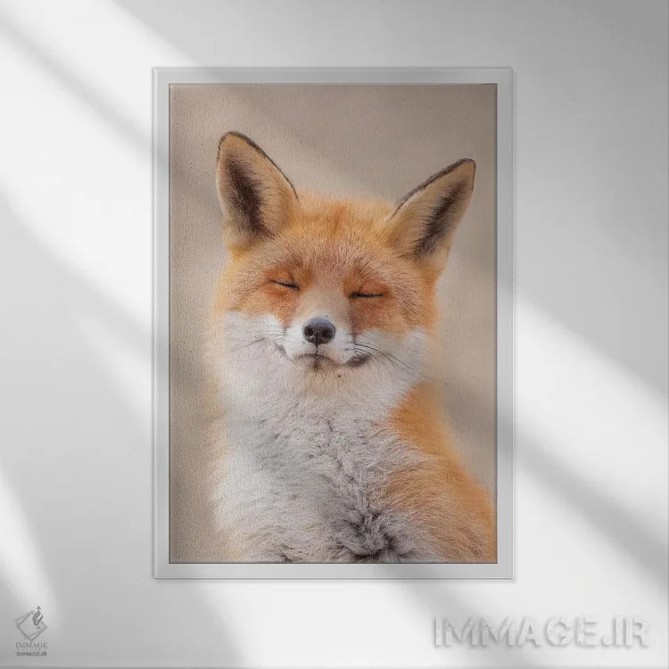 تابلو دکوراتیو روباه ذن اثر دیک ون دوین - نمای قابدار سفید