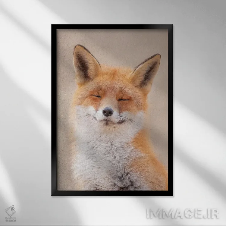 تابلو دکوراتیو روباه ذن اثر دیک ون دوین - نمای قابدار مشکی