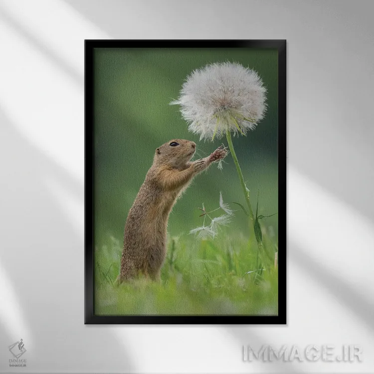 تابلو دکوراتیو زیسل با یک قاصدک بسیار بزرگ II اثر دیک ون دوین - نمای قابدار مشکی