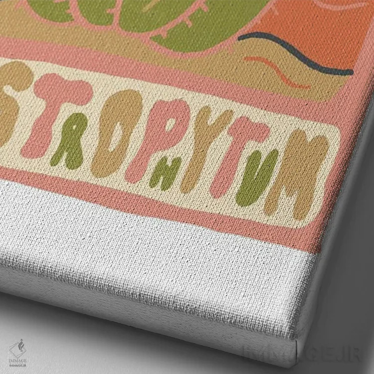 تابلو مدرن کارت تاروت کاکتوس، گونه استروفیتوم اثر دودل بای مگ - نمای نزدیک بافت بوم