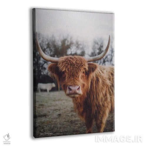 تابلو دکوراتیو ژست سلفی I اثر دکوتا باورر - نمای پرسپکتیو محصول