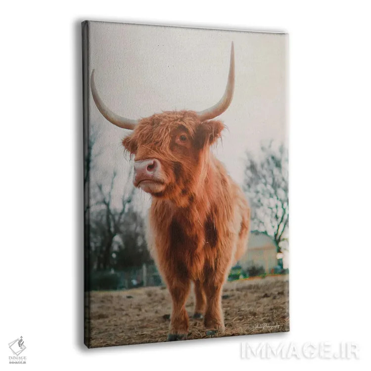 تابلو دکوراتیو سلام، من اینجا هستم اثر دکوتا باورر - نمای پرسپکتیو محصول