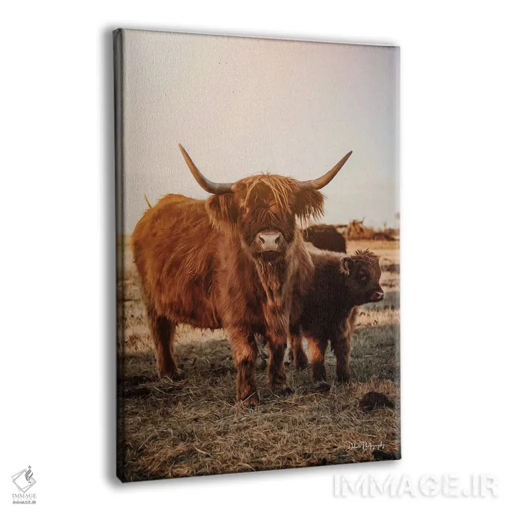 تابلو دکوراتیو مادر و دختر ارتفاعات اثر دکوتا باورر - نمای پرسپکتیو محصول