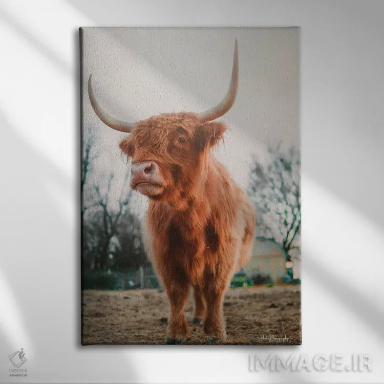 تابلو دکوراتیو سلام، من اینجا هستم اثر دکوتا باورر - نمای روبهرو روی دیوار