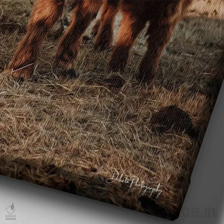 تابلو دکوراتیو مادر و دختر ارتفاعات اثر دکوتا باورر - نمای نزدیک بافت بوم