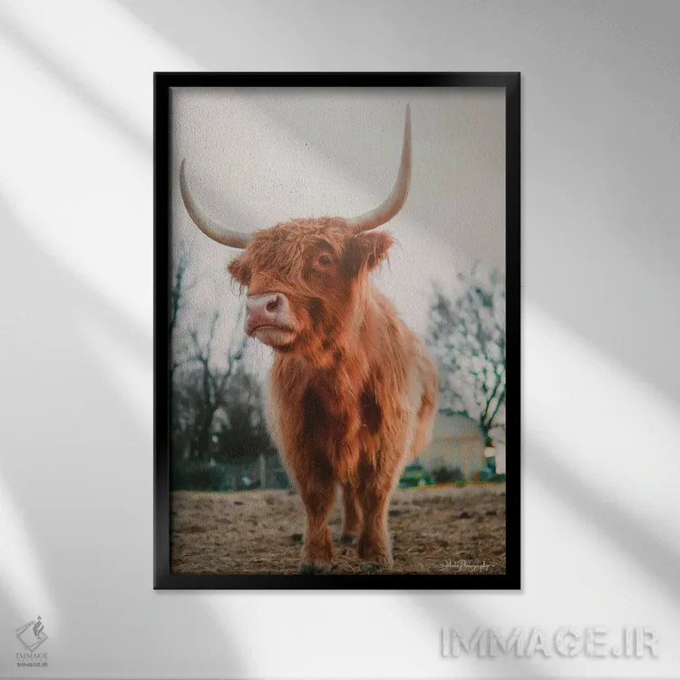 تابلو دکوراتیو سلام، من اینجا هستم اثر دکوتا باورر - نمای قابدار مشکی