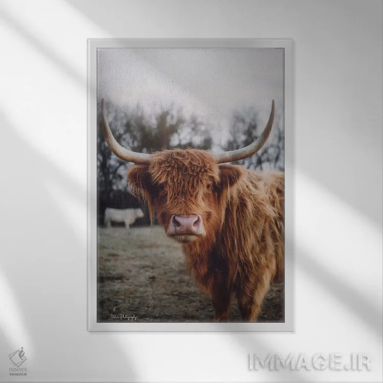 تابلو دکوراتیو ژست سلفی I اثر دکوتا باورر - نمای قابدار سفید