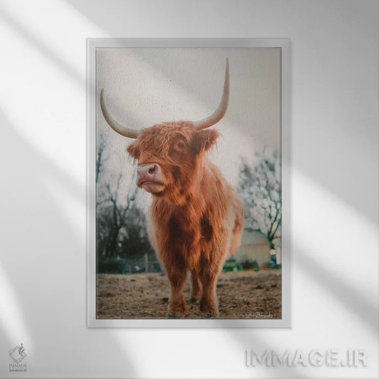 تابلو دکوراتیو سلام، من اینجا هستم اثر دکوتا باورر - نمای قابدار سفید