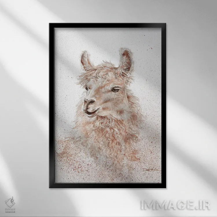 تابلو مدرن لامای بی دردسر اثر دبی کولز - نمای قابدار مشکی