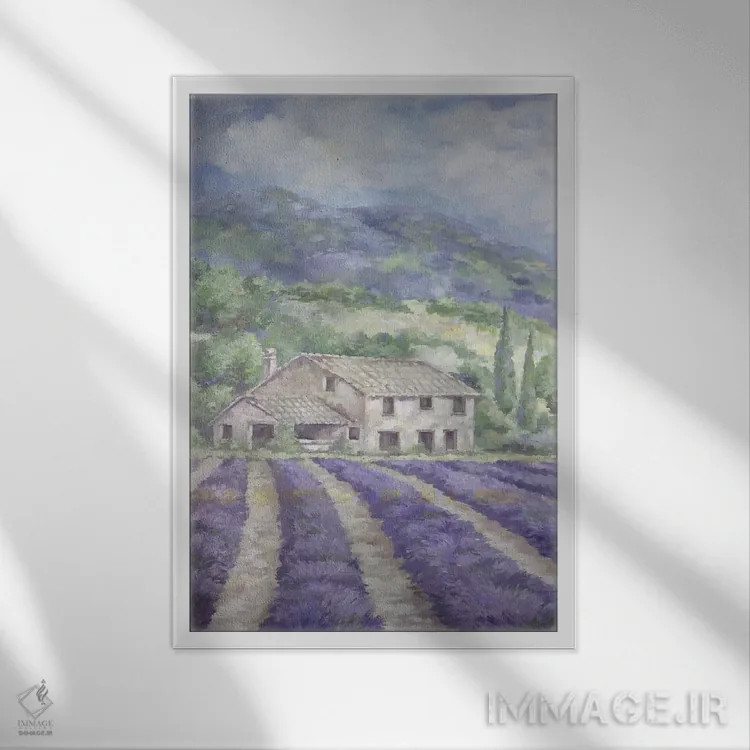 تابلو مدرن مزارع اسطوخودوس فرانسه اثر دبی کولز - نمای قابدار سفید