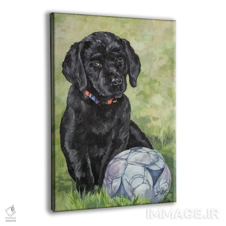 تابلو دکوراتیو لابرادور فوتبالیست اثر دبی کولز - نمای پرسپکتیو محصول