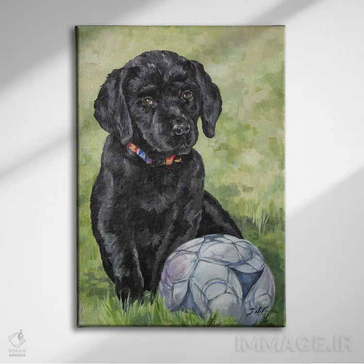 تابلو دکوراتیو لابرادور فوتبالیست اثر دبی کولز - نمای روبهرو روی دیوار