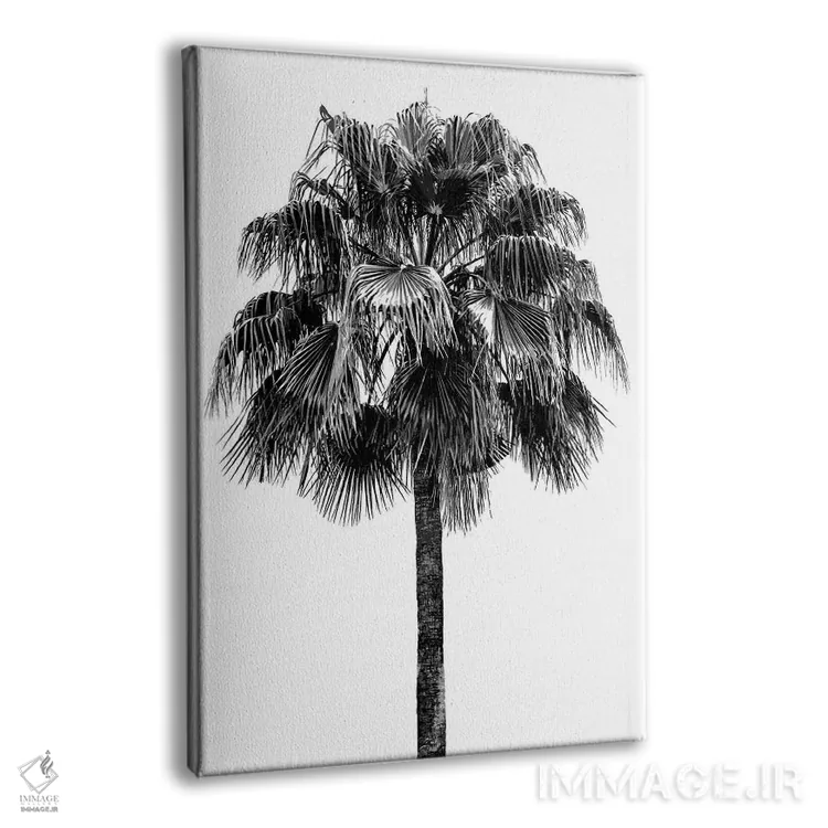 تابلو دکوراتیو درخت نخل IV اثر دوون دیویس - نمای پرسپکتیو محصول