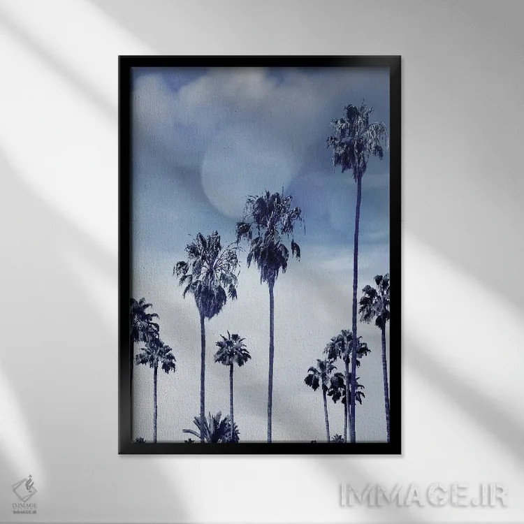 تابلو دکوراتیو نخل های ساحلی ایندیگو I اثر دوون دیویس - نمای قابدار مشکی