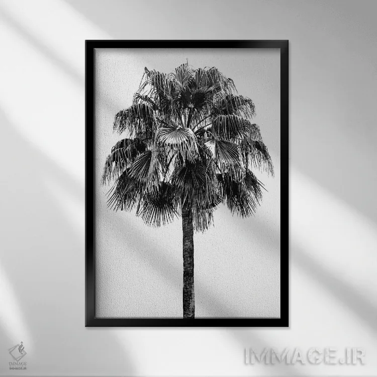 تابلو دکوراتیو درخت نخل IV اثر دوون دیویس - نمای قابدار مشکی