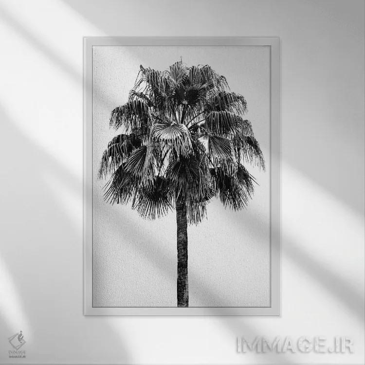 تابلو دکوراتیو درخت نخل IV اثر دوون دیویس - نمای قابدار سفید