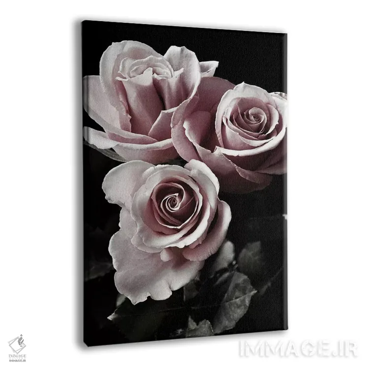 تابلو دکوراتیو رز سیاه یک اثر دانیتا دلیمنت - نمای پرسپکتیو محصول