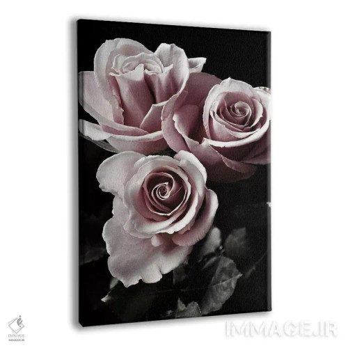 تابلو دکوراتیو رز سیاه یک اثر دانیتا دلیمنت - نمای پرسپکتیو محصول