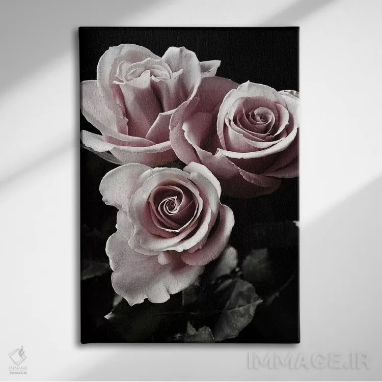 تابلو دکوراتیو رز سیاه یک اثر دانیتا دلیمنت - نمای روبهرو روی دیوار