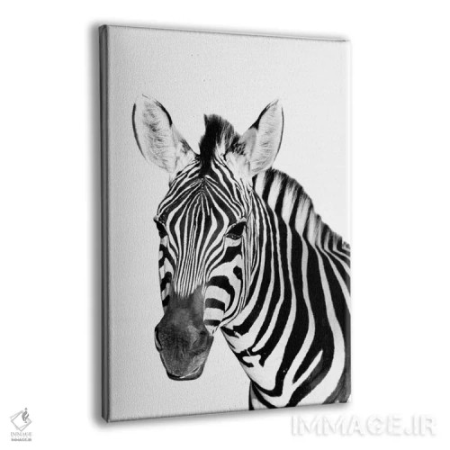 تابلو دکوراتیو گورخر سافاری اثر دانیتا دلیمنت - نمای پرسپکتیو محصول