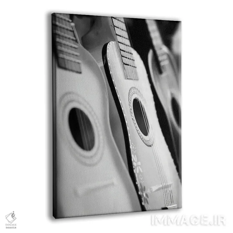 تابلو دکوراتیو هارمونیک ها اثر دانیتا دلیمنت - نمای پرسپکتیو محصول