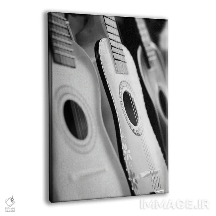 تابلو دکوراتیو هارمونیک ها اثر دانیتا دلیمنت - نمای پرسپکتیو محصول