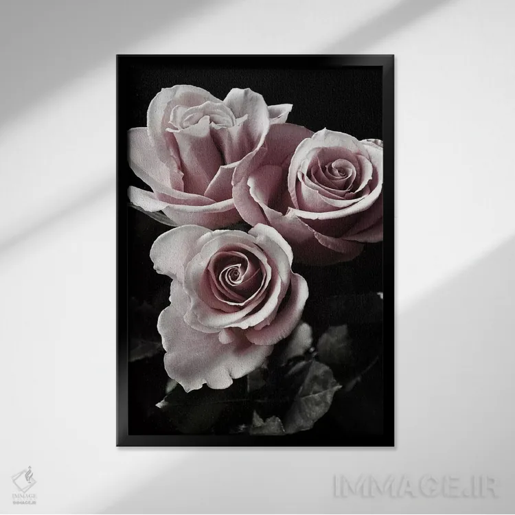 تابلو دکوراتیو رز سیاه یک اثر دانیتا دلیمنت - نمای قابدار مشکی