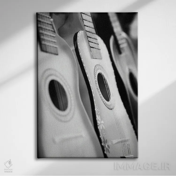 تابلو دکوراتیو هارمونیک ها اثر دانیتا دلیمنت - نمای روبهرو روی دیوار