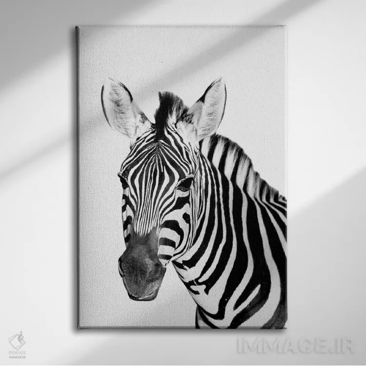 تابلو دکوراتیو گورخر سافاری اثر دانیتا دلیمنت - نمای روبهرو روی دیوار