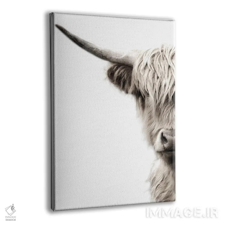 تابلو مدرن گاوهای هایلند اثر دانیتا دلیمنت - نمای پرسپکتیو محصول