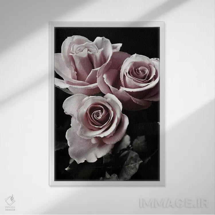 تابلو دکوراتیو رز سیاه یک اثر دانیتا دلیمنت - نمای قابدار سفید