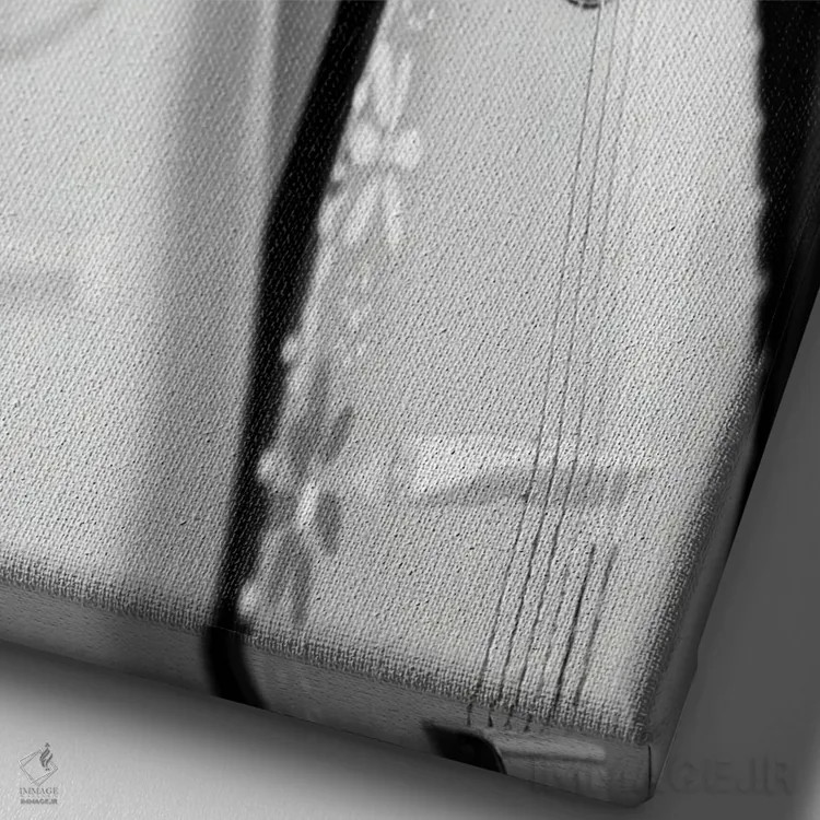 تابلو دکوراتیو هارمونیک ها اثر دانیتا دلیمنت - نمای نزدیک بافت بوم