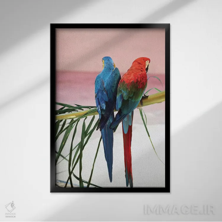 تابلو دکوراتیو طوطی های نخل اثر دانیتا دلیمنت - نمای قابدار مشکی