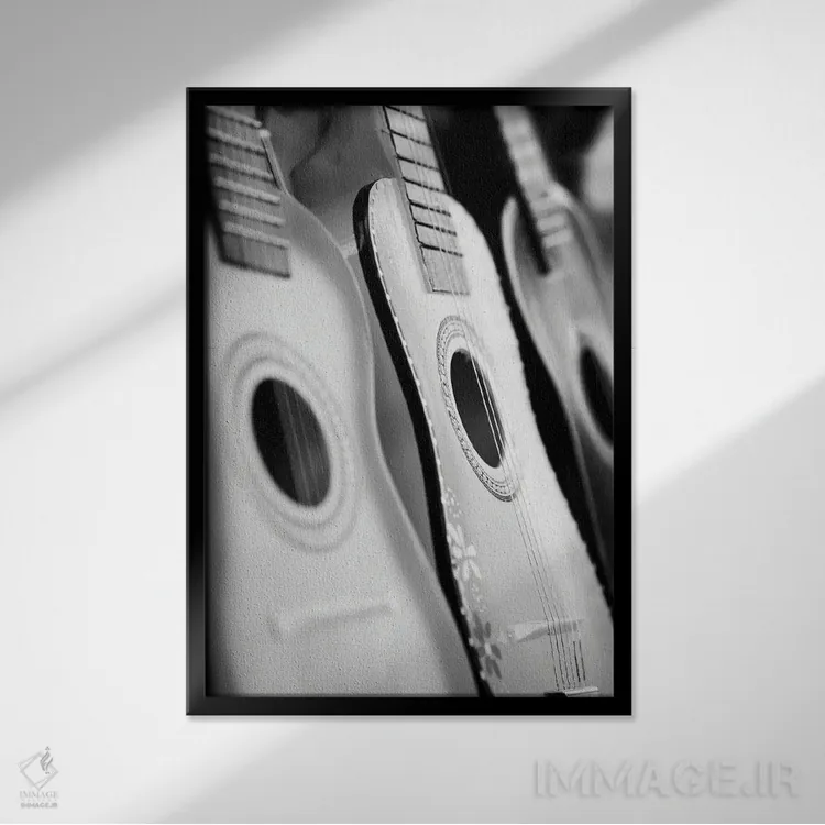 تابلو دکوراتیو هارمونیک ها اثر دانیتا دلیمنت - نمای قابدار مشکی